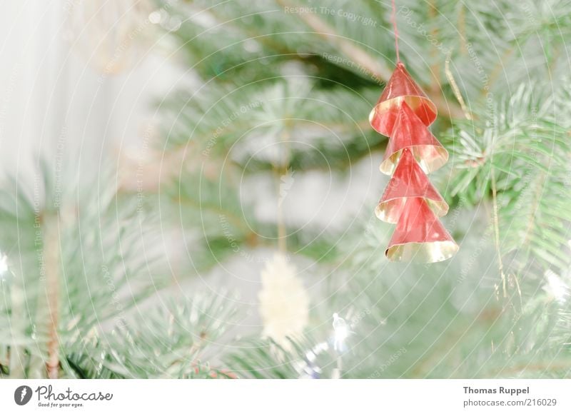 roter Baumschmuck Dekoration & Verzierung Feste & Feiern Zweige u. Äste Ast hängen gold grün Stimmung Farbfoto Gedeckte Farben Innenaufnahme Nahaufnahme