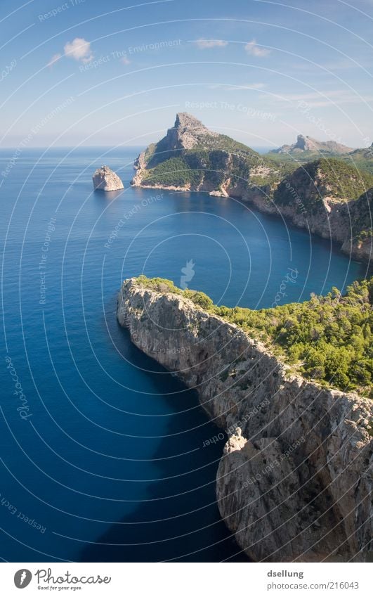 Mallorca VI Umwelt Natur Landschaft Pflanze Urelemente Erde Wasser Himmel Sommer Schönes Wetter Baum Sträucher Wald Felsen Küste Meer Mittelmeer Insel