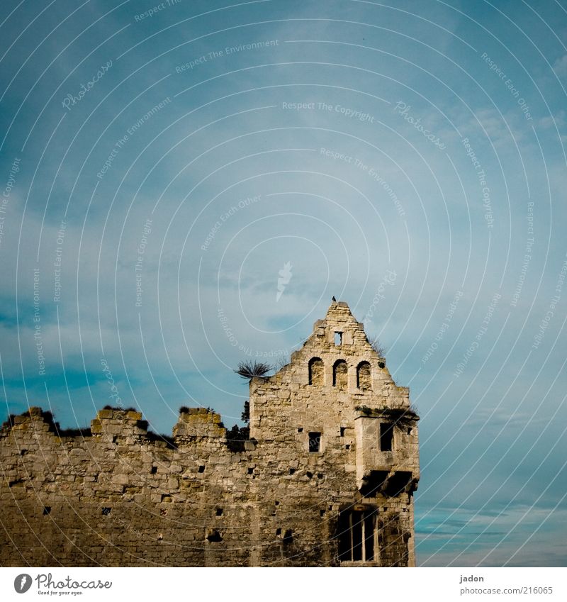 komm auf mein schloss! Häusliches Leben Wohnung Haus Traumhaus Felsen Skyline Burg oder Schloss Ruine Turm Mauer Wand Stein alt standhaft Verfall verfallen