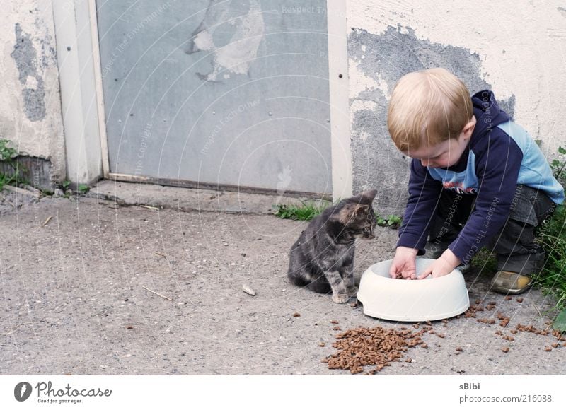 Liebe auf den 1.Blick Teil 2 oder wer wem das Essen stahl... Mensch Kind Junge Freundschaft Kindheit 1-3 Jahre Kleinkind Dorf Mauer Wand Tür blond Tier Haustier