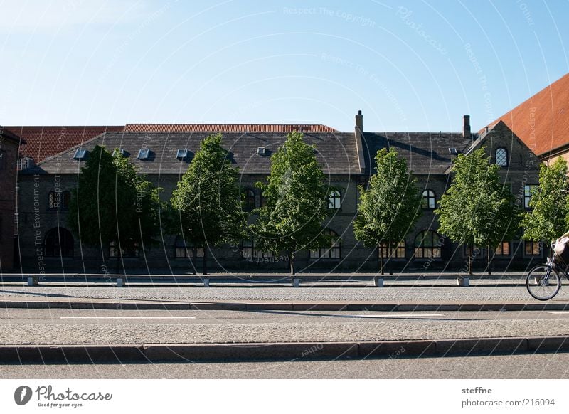 Ins Wochenende radeln. Schönes Wetter Baum Kopenhagen Dänemark Skandinavien Altstadt Haus Verkehr Straßenverkehr Fahrradfahren Idylle ruhig Farbfoto