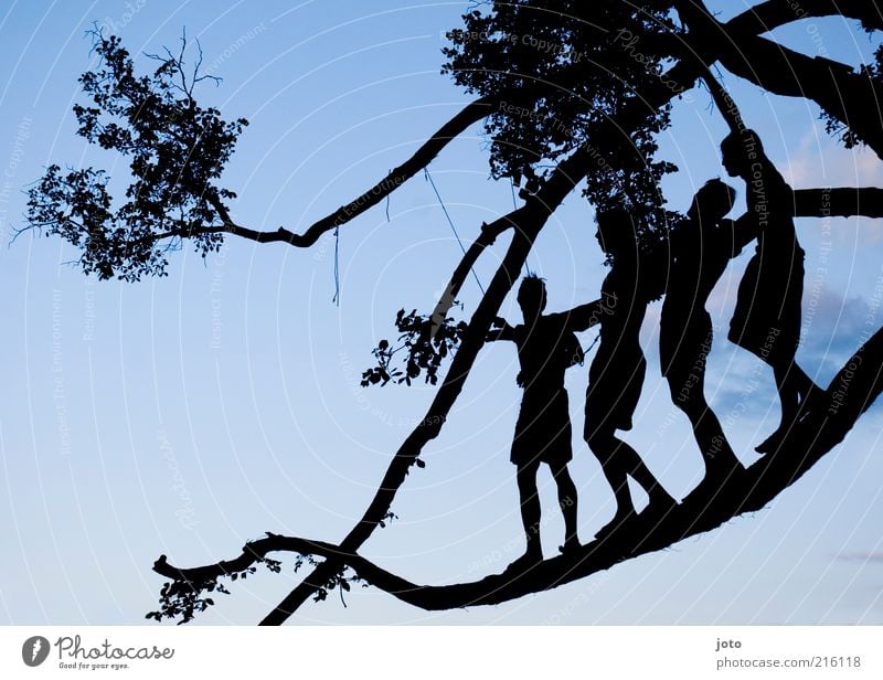 Sommernacht Mensch Natur Baum Zweige u. Äste ästhetisch Zusammensein Glück Unendlichkeit Freude Begeisterung Tapferkeit beweglich Leben Abenteuer gleich