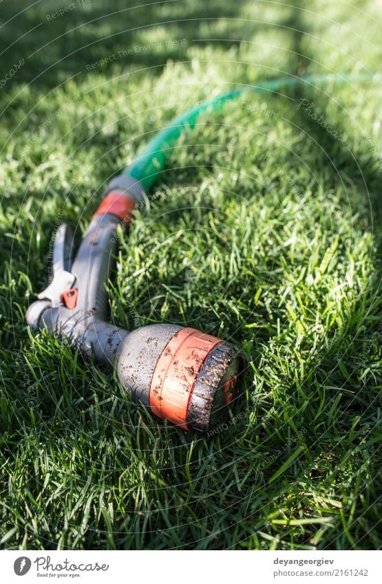 Gartenschlauch und -sprüher auf grüner Wiese Sommer Gartenarbeit Werkzeug Hand Umwelt Natur Gras Tube nass Schlauch Wasser Sprinkleranlage Bewässerung Rasen