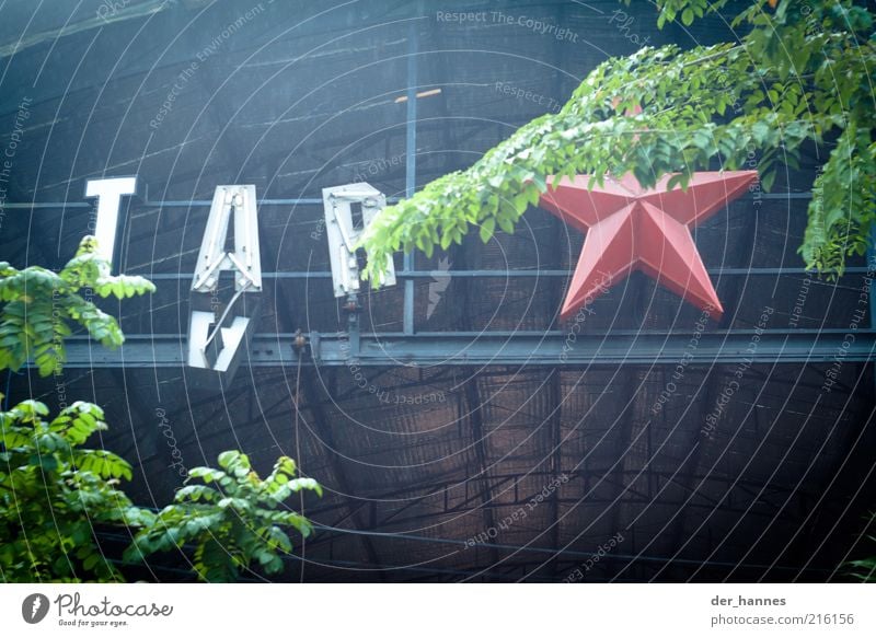 spiegelung mal anders Kuta Legian Indonesien Südostasien Haus Ruine Bauwerk Halle Dach Zeichen Schriftzeichen hängen alt Farbfoto Außenaufnahme Menschenleer