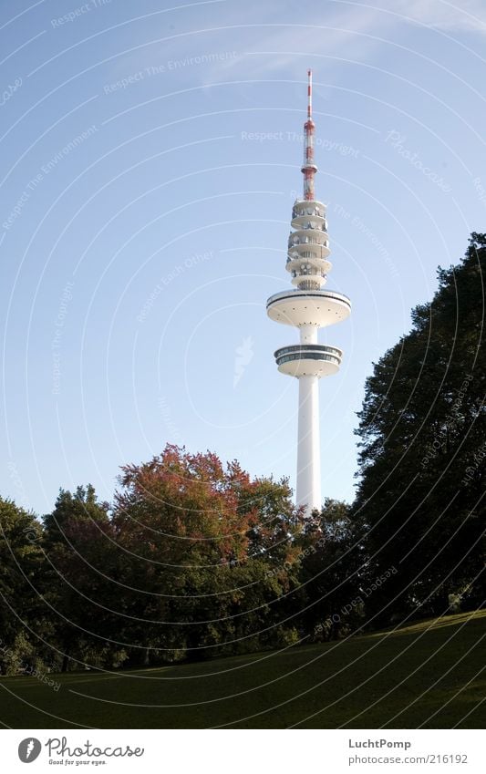 Hamburgo al aire Fernsehturm hoch Herbst Herbstlaub Baum Ahorn Zweige u. Äste Schanzenpark Herbstfärbung herbstlich Herbstbeginn Herbstlandschaft Herbstwetter