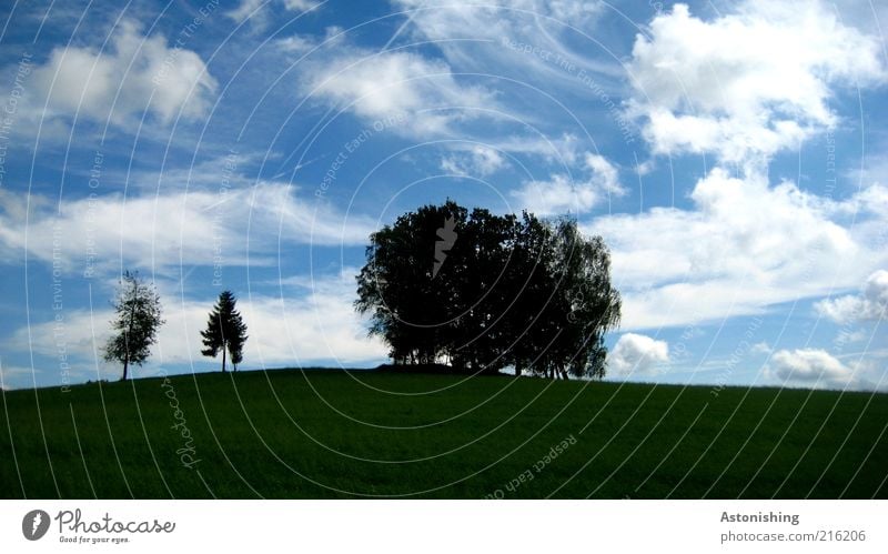 die 2 Ausgestoßenen Umwelt Natur Landschaft Pflanze Himmel Wolken Sommer Baum Gras Blatt Grünpflanze Wiese Feld stehen blau grün schwarz Hügel Horizont Wäldchen