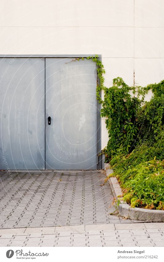 Hintereingang Natur Pflanze Sträucher Grünpflanze Haus Gebäude Architektur Lager Mauer Wand Tür Eingang Metalltür Straße Pflastersteine Stein Beton grau grün