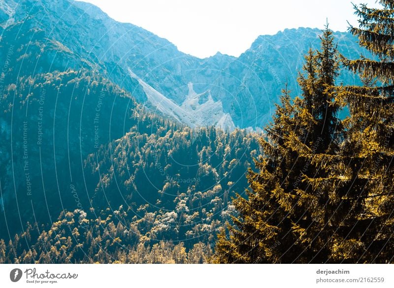 Ton in Ton / Herbstzauber schöne Stimmung in den Bergen.. Freude Wohlgefühl Erholung ruhig Ausflug Berge u. Gebirge Umwelt Landschaft Schönes Wetter Wald Bayern