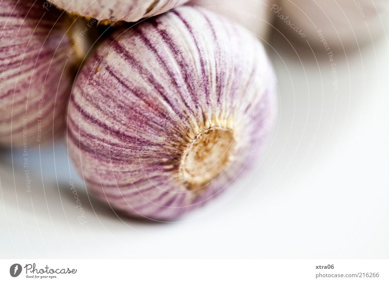 heute nur knoblauch zu mittag :) Lebensmittel Kräuter & Gewürze Ernährung lecker Knoblauch Knoblauchknolle Farbfoto Innenaufnahme Nahaufnahme Textfreiraum unten