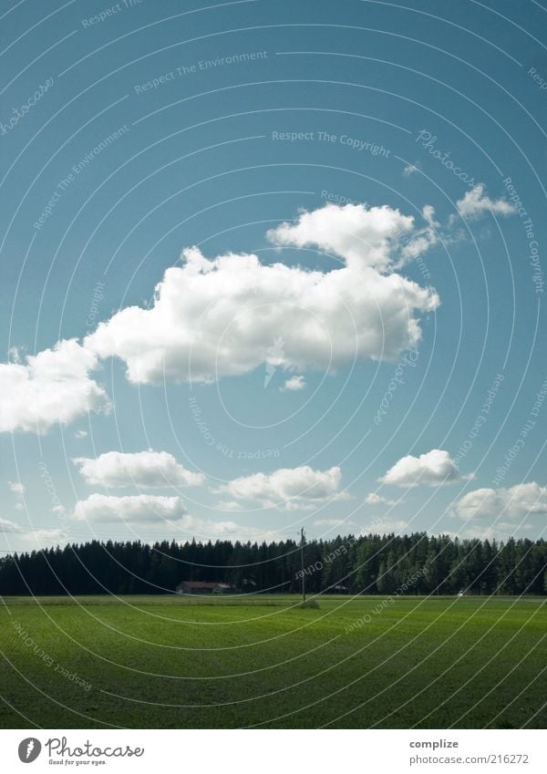 Landliebe harmonisch Zufriedenheit Ferien & Urlaub & Reisen Sommerurlaub Haus Umwelt Natur Urelemente Luft Himmel Wolken Klima Wiese Feld Wald Einfamilienhaus