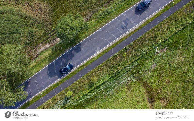 Fahrbahnwiese Umwelt Natur Landschaft Erde Pflanze Baum Gras Feld Verkehrswege Straßenverkehr Autofahren PKW grün Ordnung Wiese Farbfoto Schwarzweißfoto