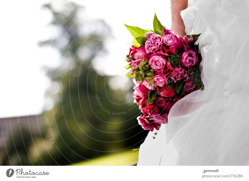 Wer will, wer hat noch nicht? feminin 1 Mensch Blume Rose Blumenstrauß Brautkleid Glück rosa rot Lebensfreude Leichtigkeit Freudenspender Vorfreude Kitsch