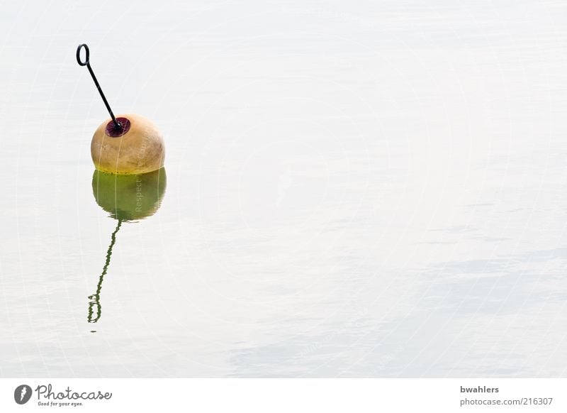 See-Kirsche Sommer Meer Wasser Schönes Wetter Küste Metall rund gelb grün Boje Farbfoto Gedeckte Farben Außenaufnahme Detailaufnahme Menschenleer Tag Schatten