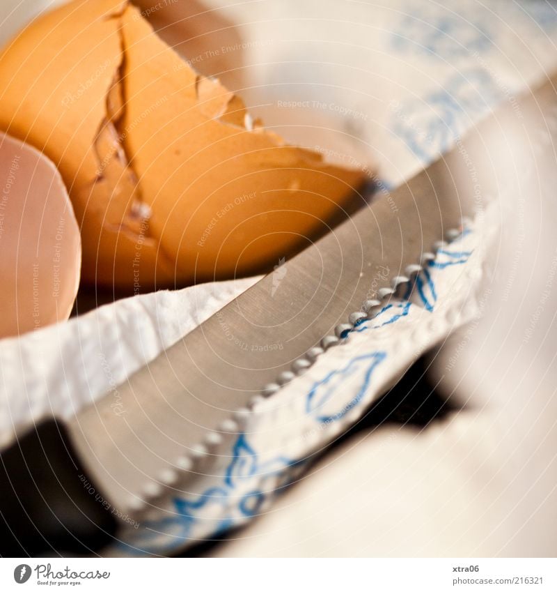 frühstück Lebensmittel Ernährung Mittagessen authentisch Messer küchentuch küchenkrepp Eierschale Küchenpapier Farbfoto Innenaufnahme Nahaufnahme Detailaufnahme