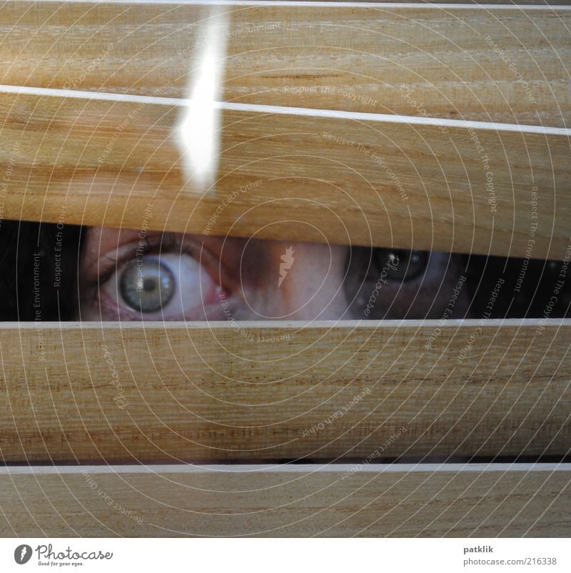 I can C U feminin Auge 1 Mensch glänzend Blick Neugier Interesse Misstrauen beobachten verstecken grün Reflexion & Spiegelung Farbfoto Außenaufnahme Tag