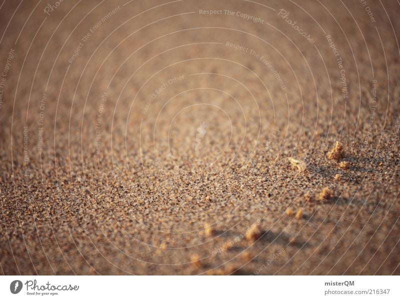 Mister Krabs. Umwelt Natur Urelemente Erde Sand ästhetisch Zufriedenheit Düne Strand Strandleben salzig Strandgut Sandkorn Schönes Wetter Krebstier Ostsee