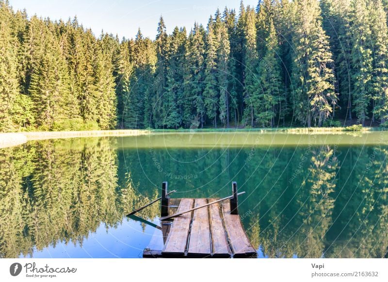 Forest See in den Bergen mit blauem Wasser schön Erholung Ferien & Urlaub & Reisen Tourismus Ausflug Freiheit Sommer Sommerurlaub Sonne Strand Berge u. Gebirge