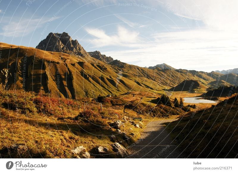 Hochtannberg Umwelt Natur Landschaft Herbst Wetter Schönes Wetter Hügel Felsen Alpen Berge u. Gebirge Gipfel Menschenleer Wege & Pfade Bregenzerwald