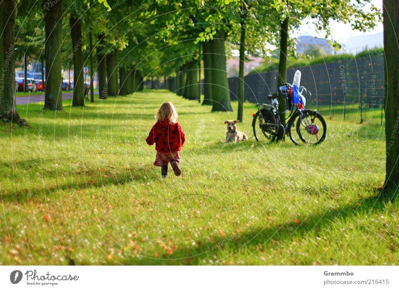 Die kleine Erdbeere Mensch Kleinkind Kindheit 1 1-3 Jahre Tier Haustier Hund gehen Allee Wiese Freude Wiedersehen Farbfoto Außenaufnahme Textfreiraum unten