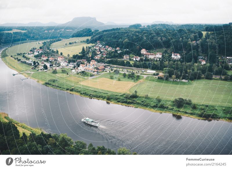 Wandern (10) Natur Landschaft Sächsische Schweiz wandern Aussicht Elbe Schifffahrt Wasser Wasserfahrzeug Bootsfahrt Pflanze Wald Wiese Feld Kleinstadt ländlich