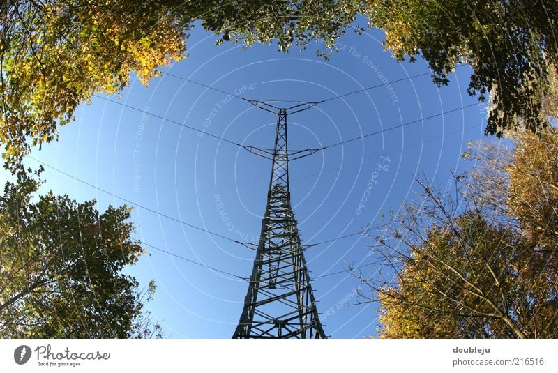 energie im grünen bereich Elektrizität Energie Energiewirtschaft transferieren Strommast Himmel Herbst Waldlichtung Wolkenloser Himmel Vorsicht Hochspannung