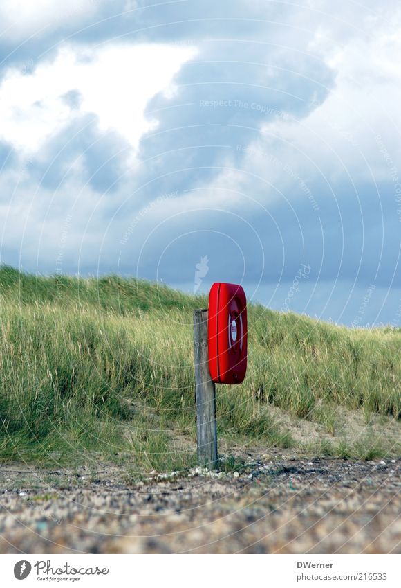 Lebensretter Ferien & Urlaub & Reisen Freiheit Sommer Strand Umwelt Natur Landschaft Sand Schönes Wetter Gras Küste Schifffahrt leuchten blau grün Sicherheit