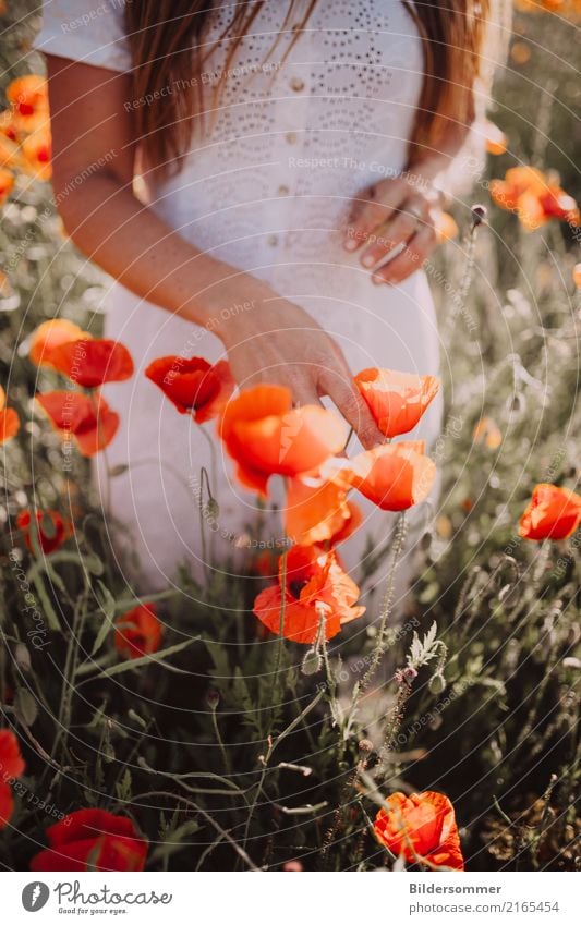 Mohnspaziergang harmonisch Wohlgefühl Zufriedenheit Sinnesorgane ruhig Ferien & Urlaub & Reisen Ausflug Sommer Sommerurlaub feminin Junge Frau Jugendliche