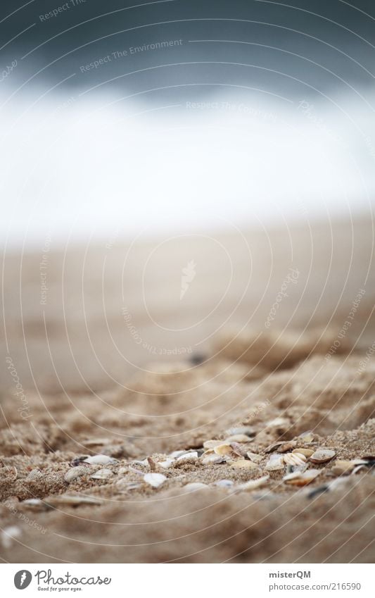 Ocean. Umwelt Natur Landschaft Urelemente Sand Luft Wasser ästhetisch Zufriedenheit Meerwasser Wellen Schaum Gischt Muschel Muschelschale Strandgut