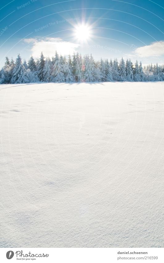 und ?? freut ihr euch ?? Ferien & Urlaub & Reisen Tourismus Ausflug Winter Schnee Winterurlaub Umwelt Natur Klima Schönes Wetter Baum Wald hell blau weiß Idylle