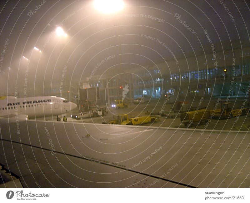 Fogflight Flugzeug Nebel München Schwanz Tragfläche Lichternebel laden entladen Gebäude Vorbereitung Luftverkehr Flughafen Scheinwerfer Schatten