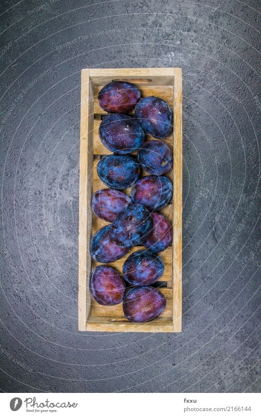 Frische Zwetschgen in einem Holzkasten Pflaume Frucht frisch Wasserspritzer Wassertropfen Gesundheit Gesunde Ernährung genießen Essen lecker essbar schön süß