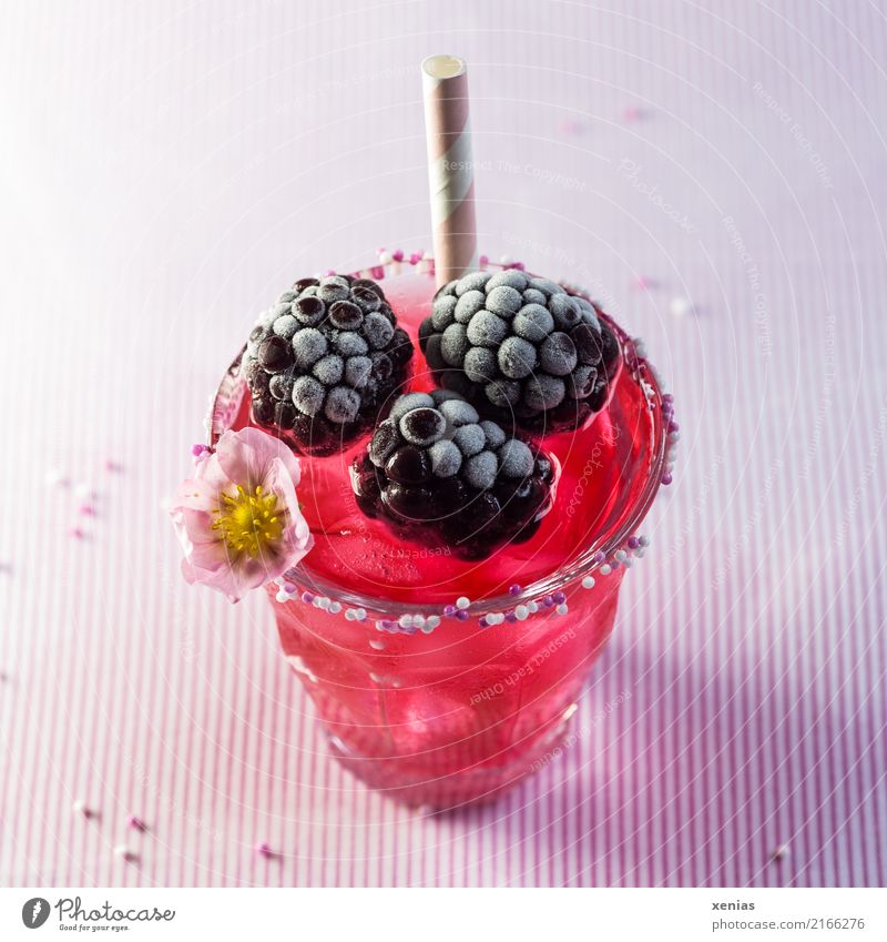 Rosa süße Limonade aus Himbeersaft mit gefrosteten Brombeeren und Erdbeerblüte im Glas mit Zuckerrand und Trinkhalm  auf gestreifter Tischdecke Frucht Himbeeren