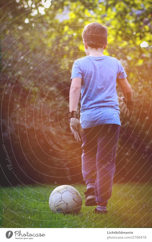 Fußball Leidenschaft Freude Freizeit & Hobby Kinderspiel Abenteuer Garten Kinderzimmer Sport Fitness Sport-Training Ballsport Torwart Erfolg Fußballplatz Mensch