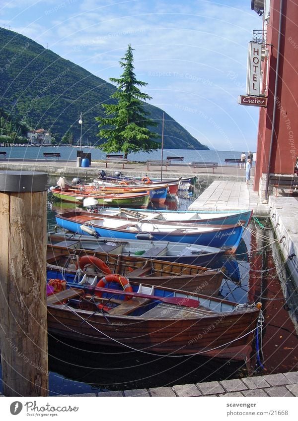 Gardasee Fischerhafen Wald grün Steg Holz Wasserfahrzeug Wellen Romantik ruhig mehrfarbig Baum Schifffahrt Berge u. Gebirge blau Himmel