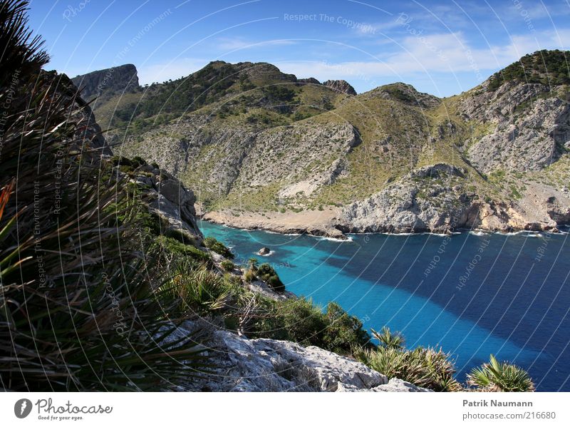 Die Bucht Ferien & Urlaub & Reisen Tourismus Ausflug Ferne Freiheit Meer Insel Wellen Umwelt Natur Landschaft Pflanze Himmel Wolken Gras Sträucher Farn