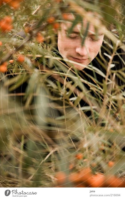 im Sanddornbusch I Frucht maskulin Junger Mann Jugendliche Erwachsene Gesicht Natur Pflanze Sträucher Zweige u. Äste ästhetisch frisch Zufriedenheit Sicherheit