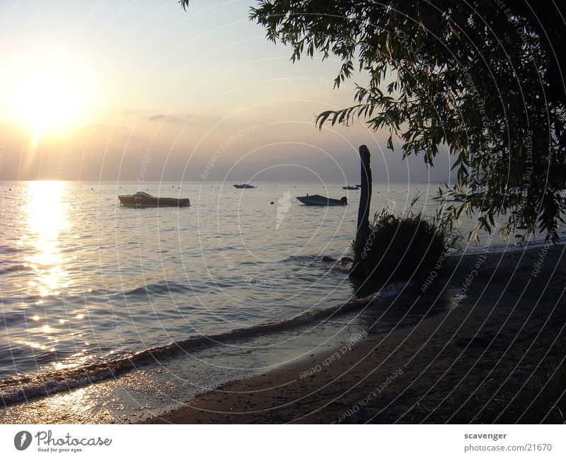 Sonnenuntergang am Gardasee Sonnenstrahlen weiß Licht Abendsonne Sonnenaufgang dunkel See Wellen Baum Wasserfahrzeug Strand Beleuchtung blau hell Himmel orange