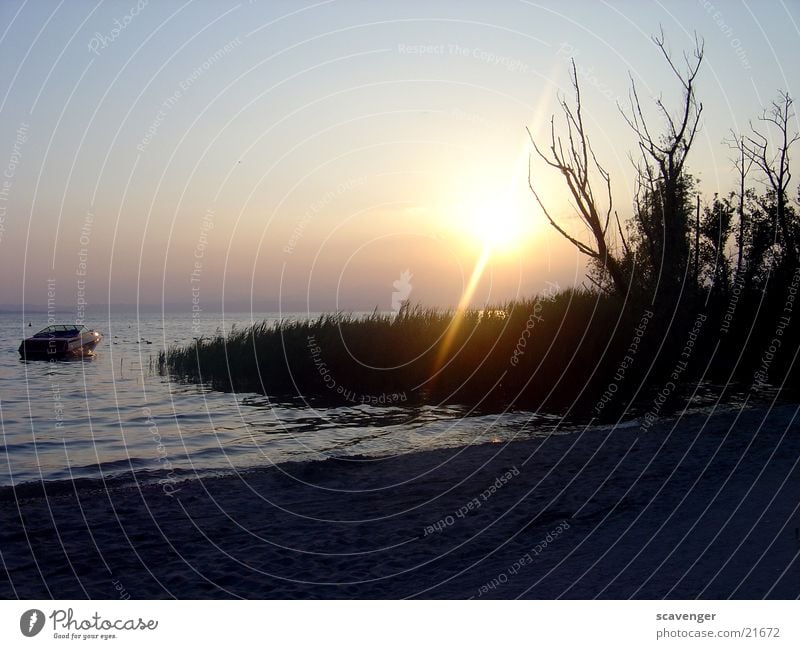 Sonnenuntergang am Gardasee Sonnenstrahlen weiß Licht Abendsonne Sonnenaufgang dunkel See Wellen Baum Wasserfahrzeug Strand schwarz Beleuchtung blau hell Himmel