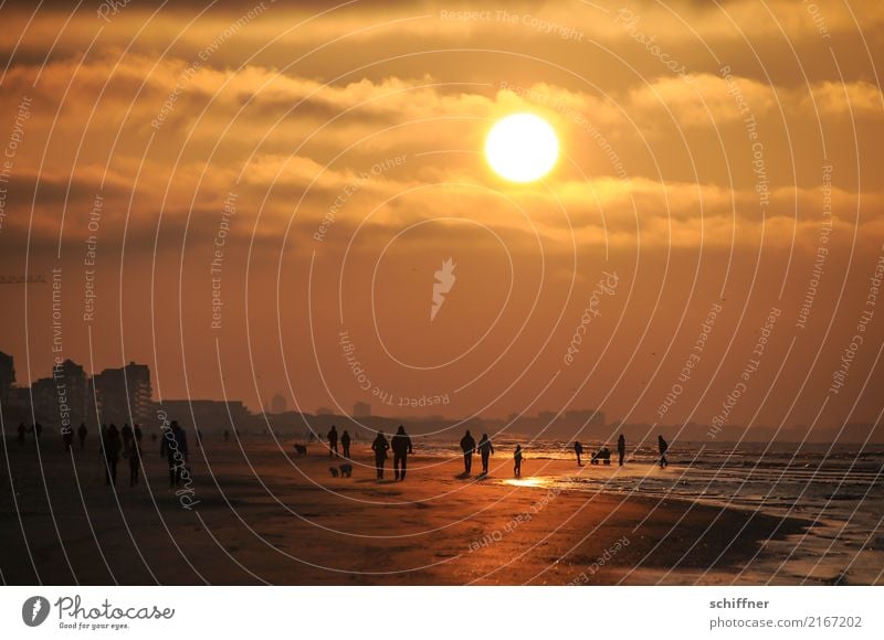 The dark side | Belgischer Wildwechsel III Freundschaft Paar Menschengruppe Landschaft Wolken Sonne Sonnenaufgang Sonnenuntergang Schönes Wetter Wellen Küste