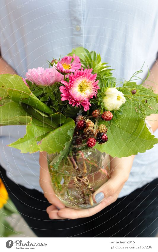 Sommerblumen im Glas Beeren Blume Blumenstrauß Weinblatt grün festhalten rosa weiß rot schwarz Hand Wasser Vase mehrfarbig Finger Hochformat pflücken Geschenk