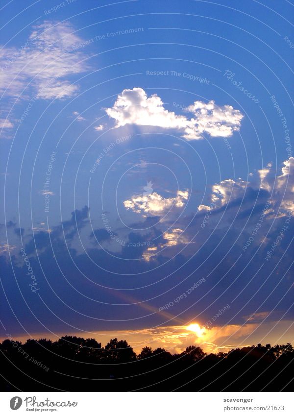 event horizon Abend Hintergrundbild Licht Farbfoto Sonnenaufgang Sonnenuntergang Sonnenstrahlen Wolken Himmelsszene Menschenleer rot Hügel Baum schwarz dunkel