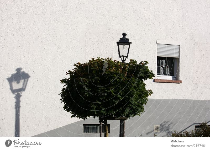 Fake Baum Haus Fassade ruhig Schatten Laterne Baumkrone weiß Fenster Mauer Farbfoto Außenaufnahme Textfreiraum oben Tag Schattenspiel Menschenleer