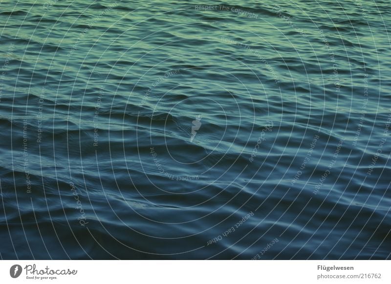 Hab keine Angst vor'm Untergeh'n Sommer Wellen Küste Seeufer Flussufer Nordsee Ostsee Meer Teich Bach frei Wellengang Wellenlinie Wasser Karibisches Meer