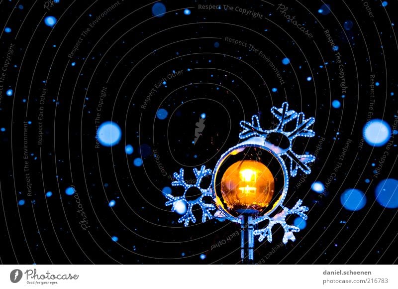 leichter Schneefall, -15 Grad Winter Eis Frost blau gelb schwarz weiß Schneeflocke ruhig Schweben Nacht Kunstlicht Blitzlichtaufnahme Kontrast Low Key leuchten