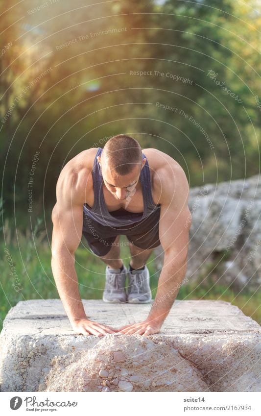 Liegestütz beim Outdoor Training im Park Lifestyle Gesundheit sportlich Fitness Leben Sommer Sonne Sport Sport-Training Sportler muskulös Muskelshirt Muskulatur