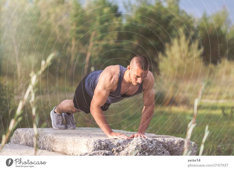 Liegestütze beim Outdoor Training im Park Gesundheit Gesunde Ernährung Gesundheitswesen sportlich Fitness Sommer Sonne Sport Sport-Training Sportler muskulös