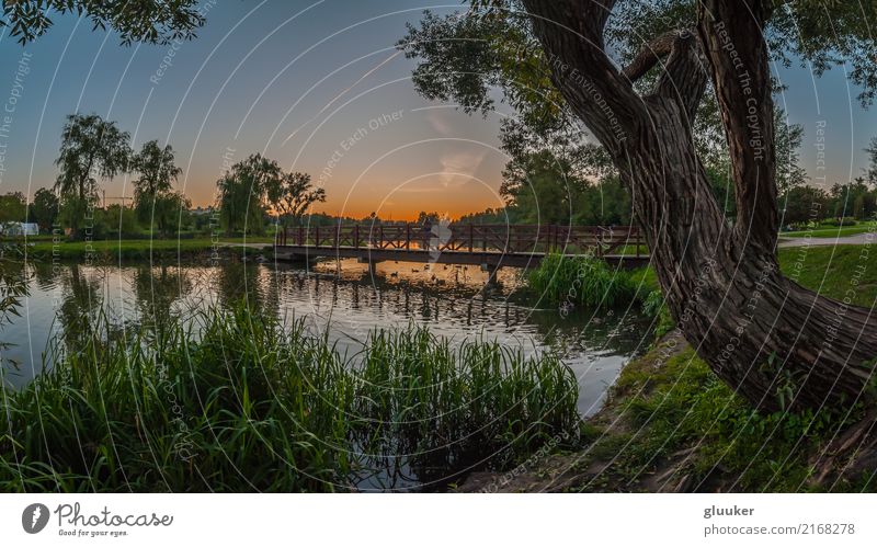 Sommerpanoramablick am Abendstadtpark schön Freizeit & Hobby Natur Landschaft Pflanze Wasser Himmel Sonnenaufgang Sonnenuntergang Wetter Schönes Wetter Wärme