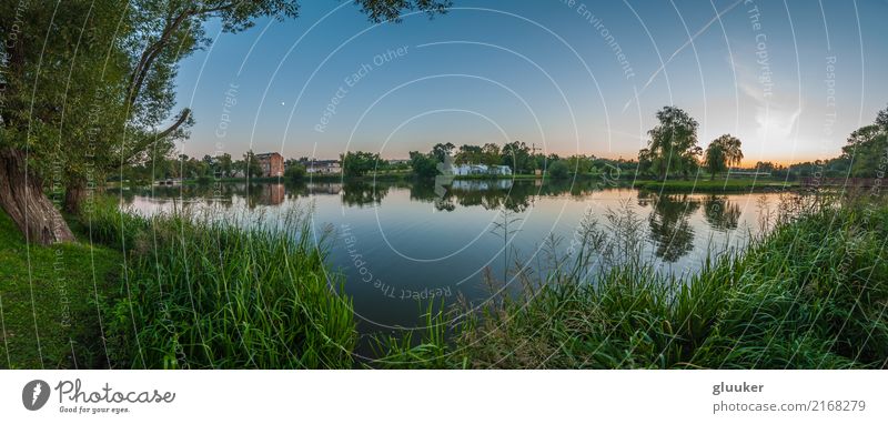 Panoramablick von der Küste durch einen See schön Spiegel Natur Landschaft Pflanze Wasser Himmel Sonnenaufgang Sonnenuntergang Sommer Wärme Baum Gras Sträucher