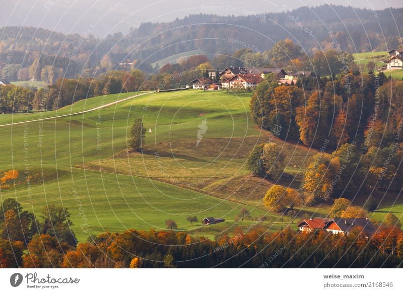 Österreichisches Dorf auf Berghügeln in den Alpen Ferien & Urlaub & Reisen Tourismus Ausflug Ferne Freiheit Sommer Berge u. Gebirge Haus Natur Landschaft Herbst