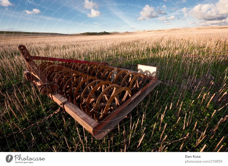 Herbstacker Natur Landschaft Erde Himmel Wolken Schönes Wetter Feld stachelig blau braun gelb ruhig Landwirtschaftliche Geräte Ackerbau Farbfoto Außenaufnahme